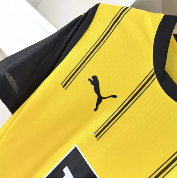 Borussia Dortmund 2024/25 Home