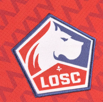Lille LOSC 2024-25 Home