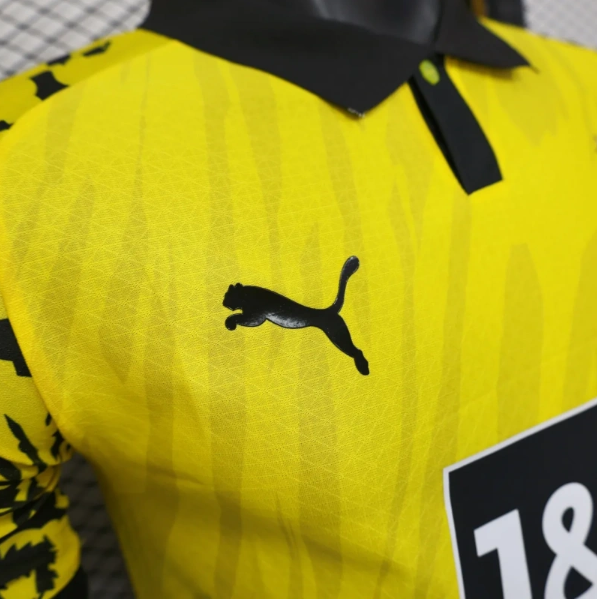 Borussia Dortmund 25/26 Anniversary