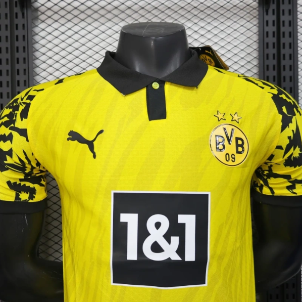 Borussia Dortmund 25/26 Anniversary