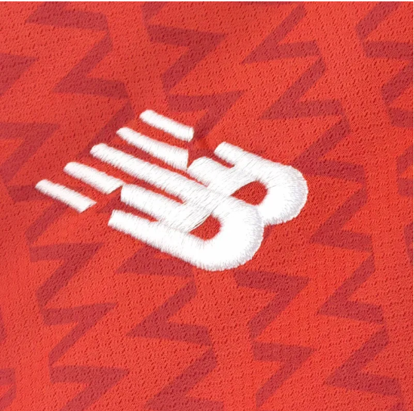 Lille LOSC 2024-25 Home