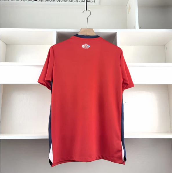 Lille LOSC 2024-25 Home